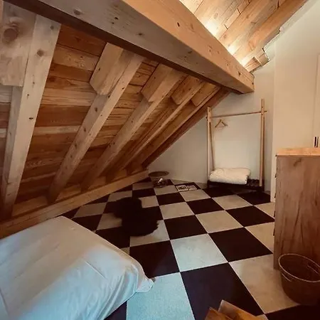 公寓 Sottotetto Grazioso St.moritz 圣莫里茨